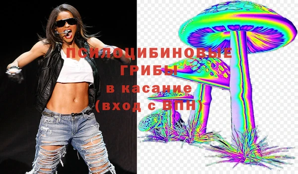 Альфа ПВП Медвежьегорск