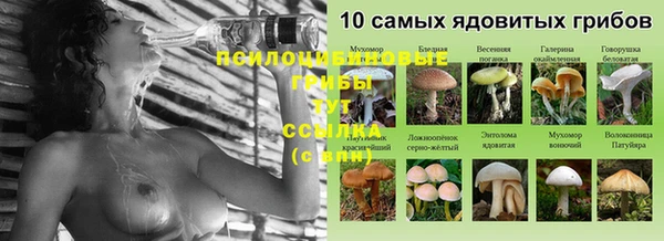 MDMA Premium VHQ Медногорск