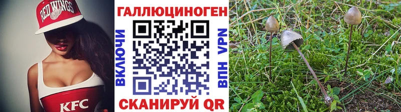 Галлюциногенные грибы мицелий  Алексеевка 