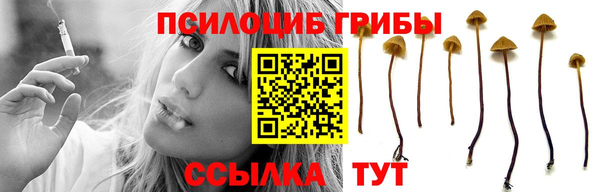 Псилоцибиновые грибы MAGIC MUSHROOMS  Алексеевка 